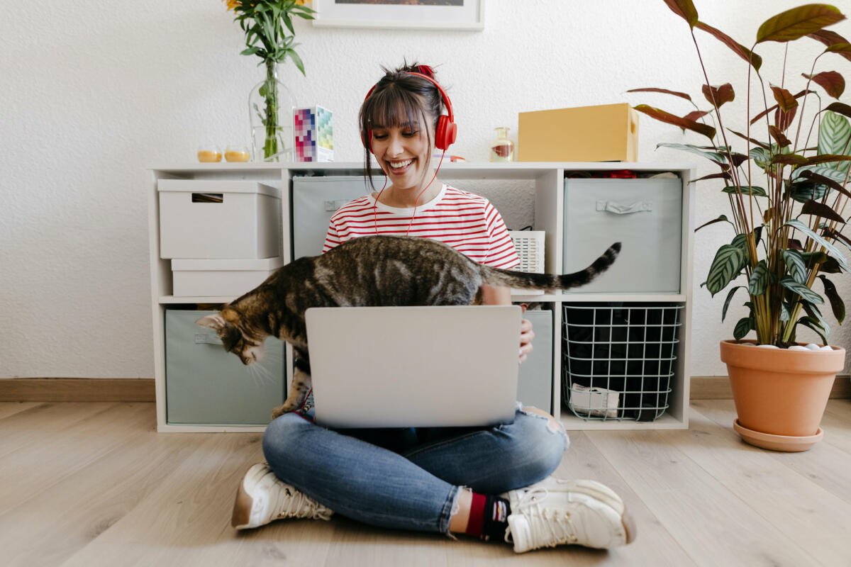 Katze laeuft Frau ueber den Laptop © Westend61 / Getty Images
